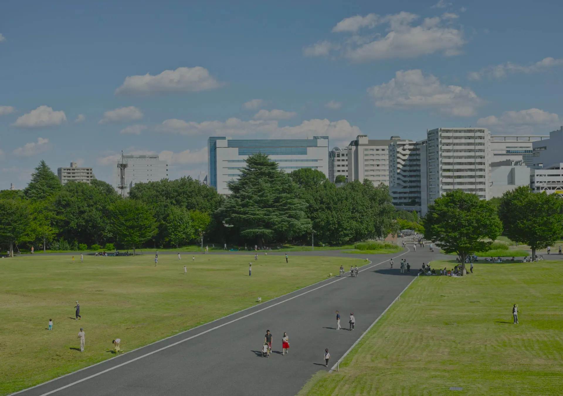 都市と自然の画像