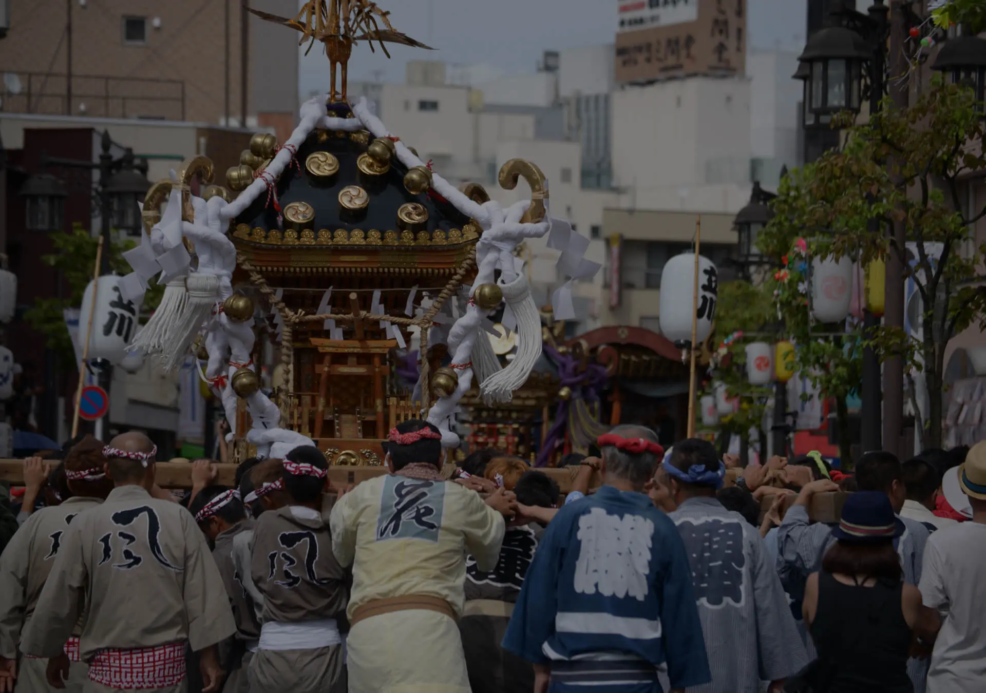 都市と自然の画像