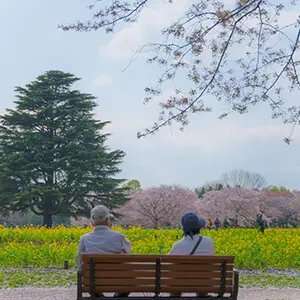 昭和記念公園